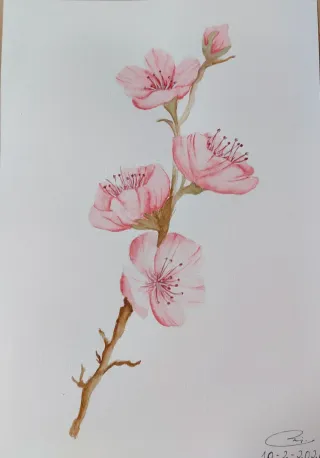 Lámina acuarela flores A4