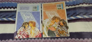 Mi Guardian Secreto  Manga 2 Tomos