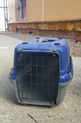 3 Trasportini per Cani/Gatti (Blu/Rosa)