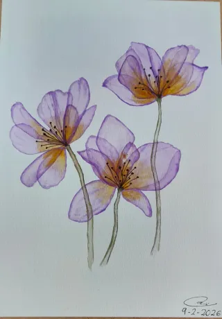 Lámina acuarela flores moradas A4