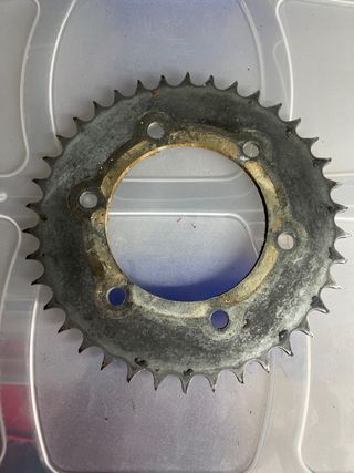 Suzuki Dr Big 50 Corona 38 dientes