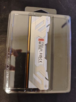 Kingston Fury Renegade DDR5 24GB