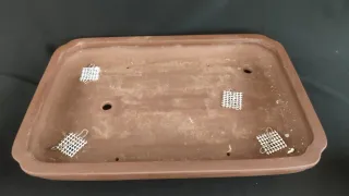 Maceta Rectangular bonsai