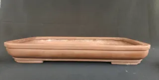 Maceta Rectangular bonsai