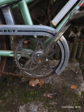 Bicicleta Peugeot Vintage Verde