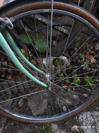 Bicicleta Peugeot Vintage Verde