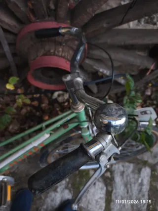 Bicicleta Peugeot Vintage Verde