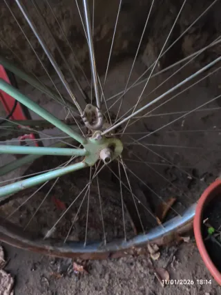 Bicicleta Peugeot Vintage Verde