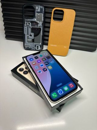 iPhone 13 Pro Max 256