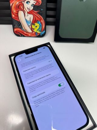 iphone 13 pro max 256