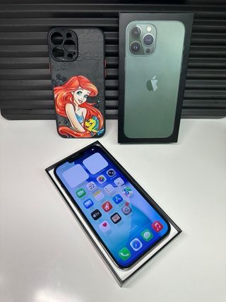 iphone 13 pro max 256