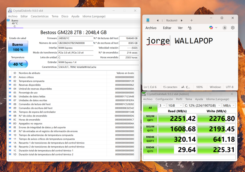 SSD Bestoss GM228 NVMe M.2 PCIe 3.0 2TB 1TB afbeelding 2
