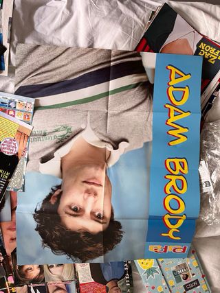 Lotto riviste e poster: attori, cantanti