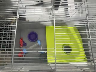 Transportín y jaula hámster + accesorios