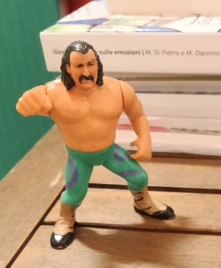 Action figure WWF anni '80