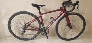 Specialized Allez E5 Bicicleta de Carretera T44