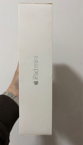 iPad Mini 4 16GB Plata