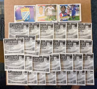 Lote este 2010/2011 + Álbum