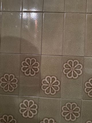 Baldosa vintage con diseño floral