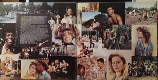 Vinilo B.S.O. Película HAIR Doble Lp.