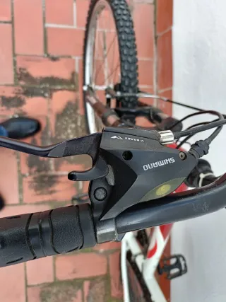 Bicicleta Orbea Mujer