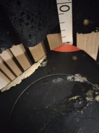 Falda negra de encaje