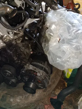 Despiece Motor BMW 320d E46 M47D20 150cv