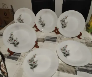 Plato Arcopal postre Margaritas