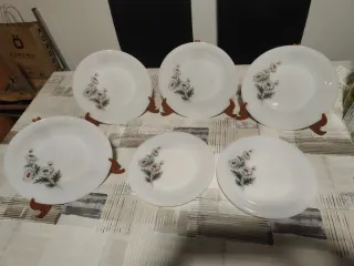 Plato Arcopal postre Margaritas