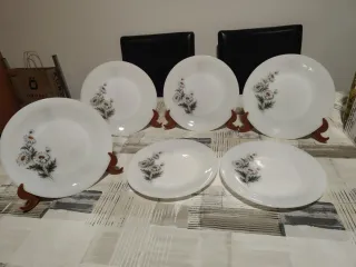 Plato Arcopal postre Margaritas