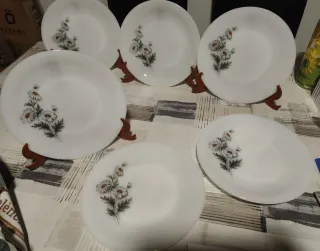 Plato Arcopal postre Margaritas