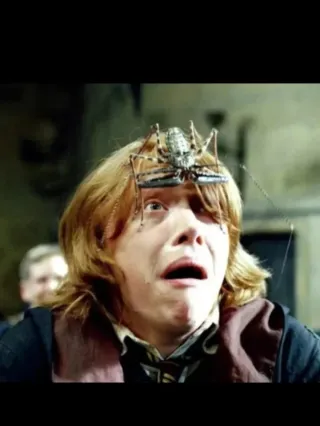 Funko Harry Potter Kinder Joy Ron Weasley Araña