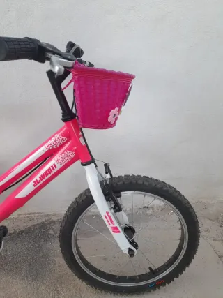 Bicicleta Infantil JL Wenti Princess 18
