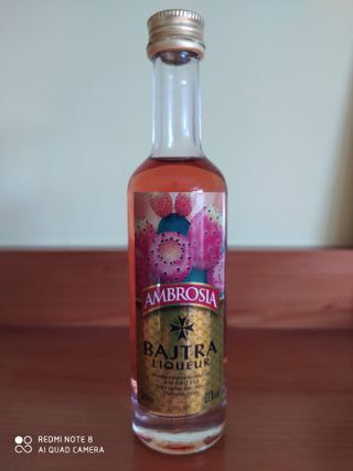 Collezione di Mini Bottiglie