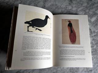 La medicina y las ciencias biológicas en la C.V.