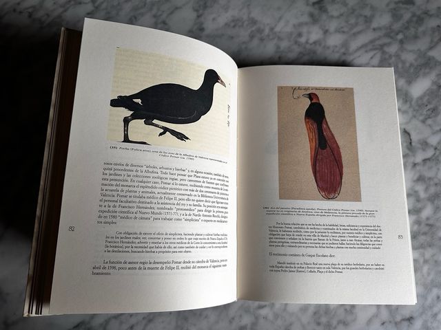 La medicina y las ciencias biológicas en la C.V.