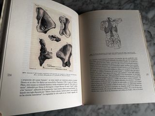 La medicina y las ciencias biológicas en la C.V.