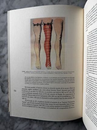 La medicina y las ciencias biológicas en la C.V.