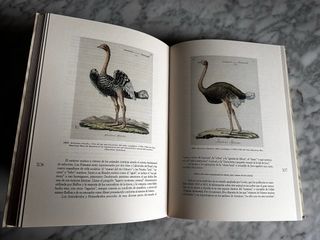 La medicina y las ciencias biológicas en la C.V.