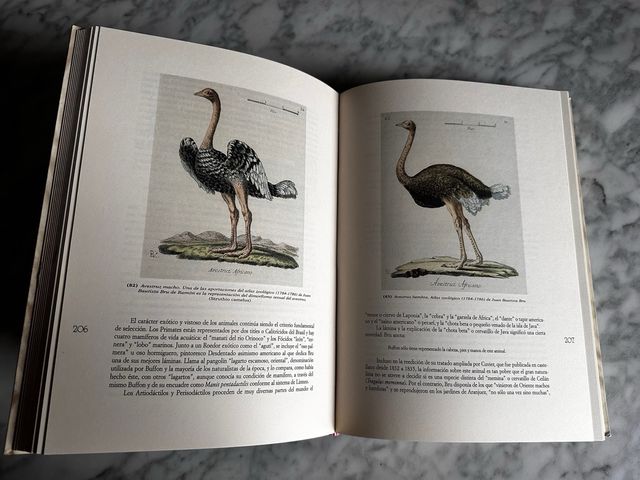 La medicina y las ciencias biológicas en la C.V.