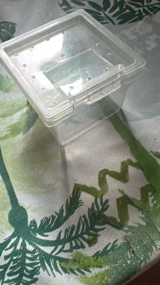 Mini terrario de plástico x2