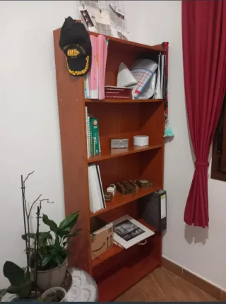 Escritorio y estanteria