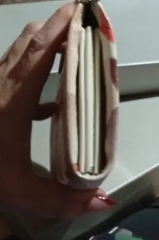 Monedero Billetero Tous Multicolor