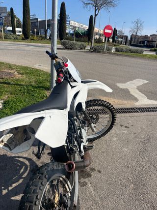 Beta Trueba RRT 2005 ITV