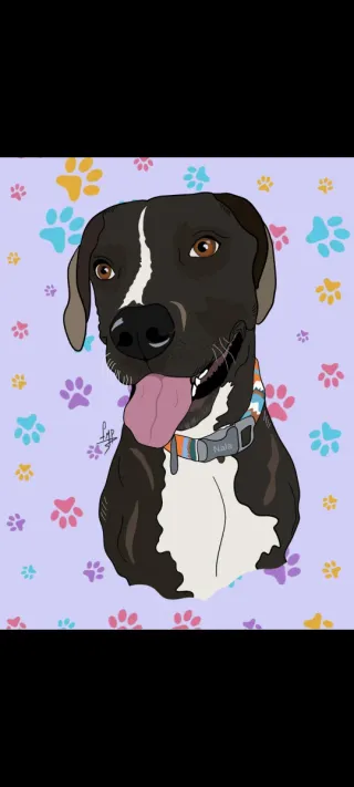 Dibujos personalizados