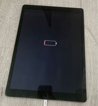 Apple iPad Plata
