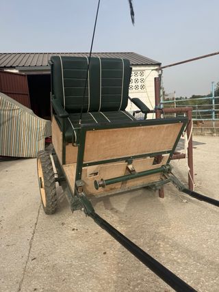 Carro de caballos con asientos