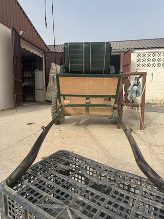 Carro de caballos con asientos