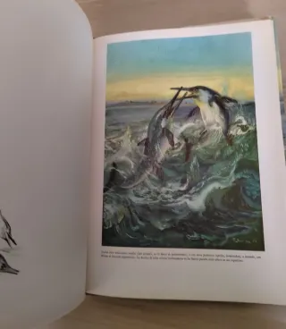 Collezione Libri Dinosauri J. Augusta Z. Burian