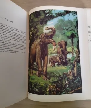 Collezione Libri Dinosauri J. Augusta Z. Burian